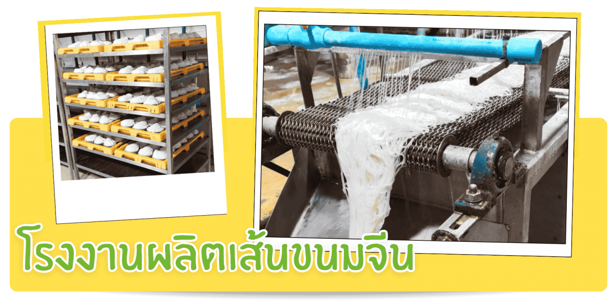 โรงงานผลิตเส้นขนมจีน พร้อมให้บริการ